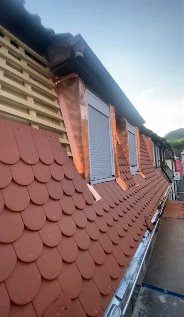 Dachfenster & Gauben